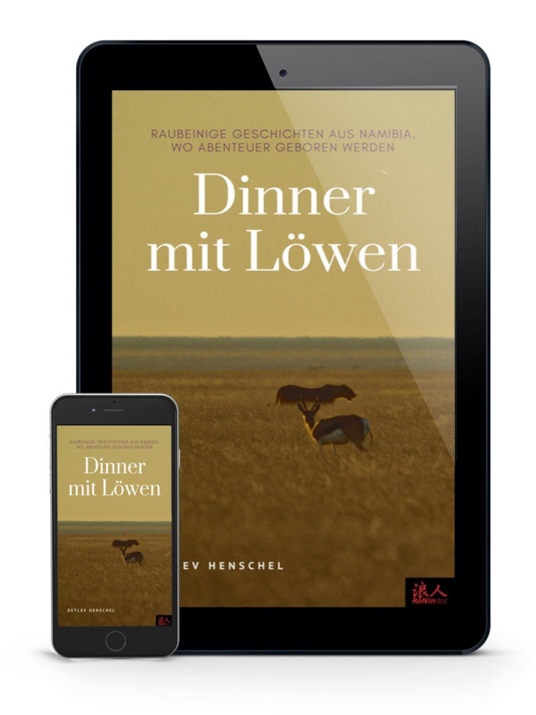 Dinner mit Löwen | Raubeinige Geschichten aus Namibia