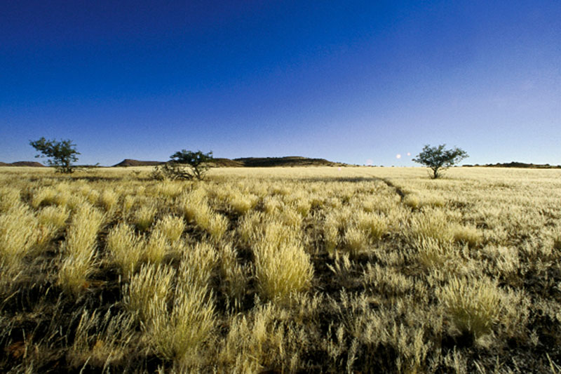 Reisebericht Namibia - Trekking auf den Brandberg.