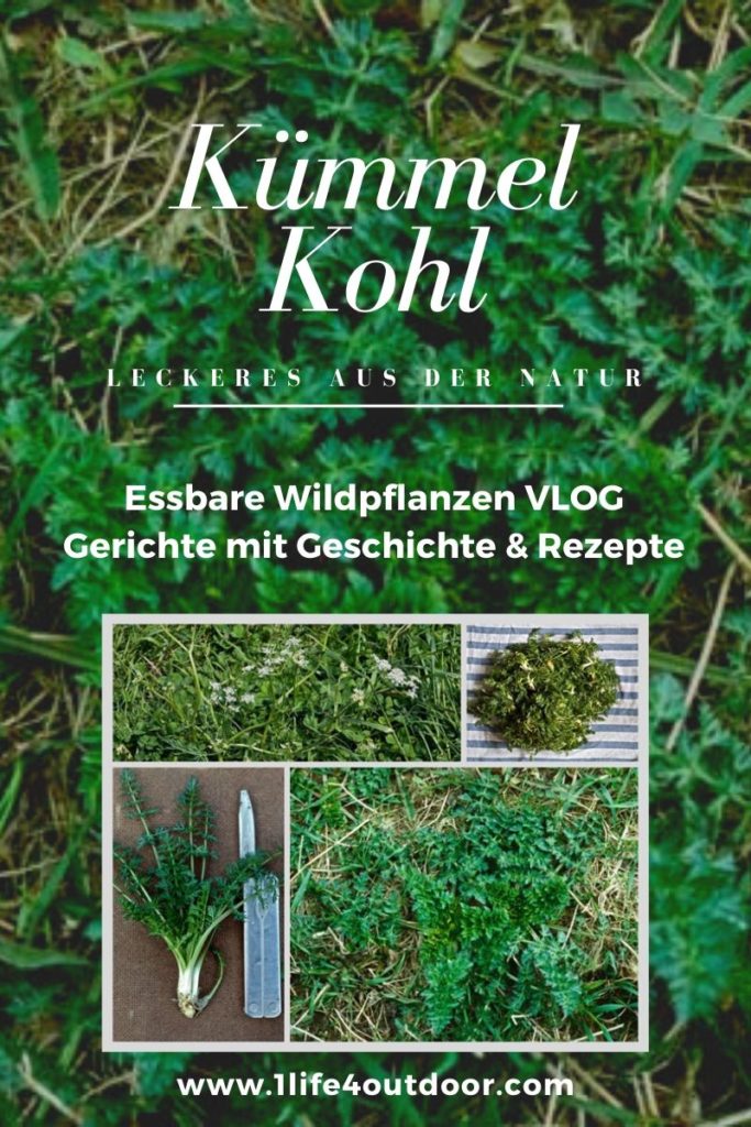 Rezept Kümmelkohl.